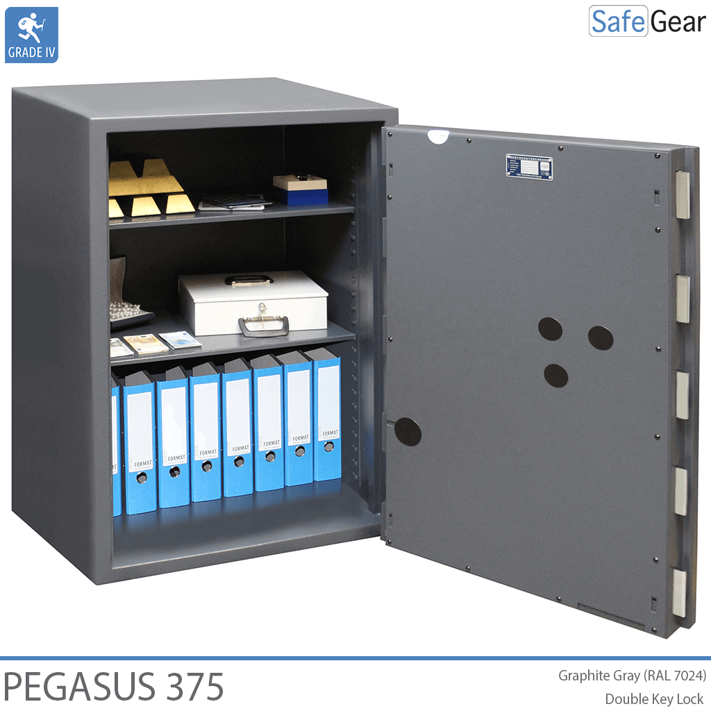 Pegasus 375 - open door